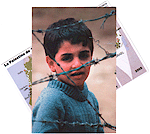Lot de 2 cartes postales Palestine