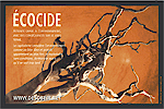 Lot de 5 autocollants Ecocide capitalisme