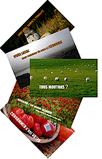 Lot de 5 cartes postales Ecologie