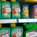 Action contre le Roundup chez Castorama